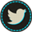Hover Twitter icon